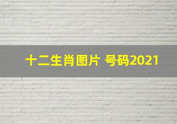 十二生肖图片 号码2021